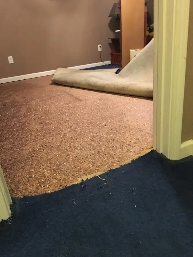 Carpet pad removal revealing water damage during Drying & Dehumidification in Lake Stickney