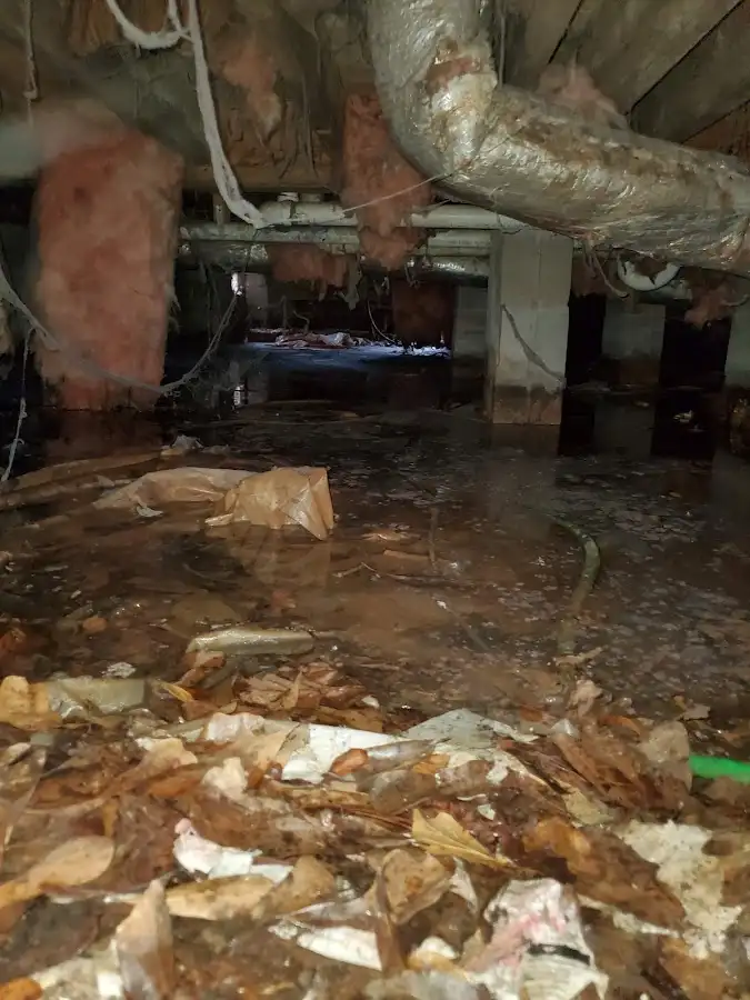 Crawl space flood assessment for Leak Detection & Repair in Lake Stickney